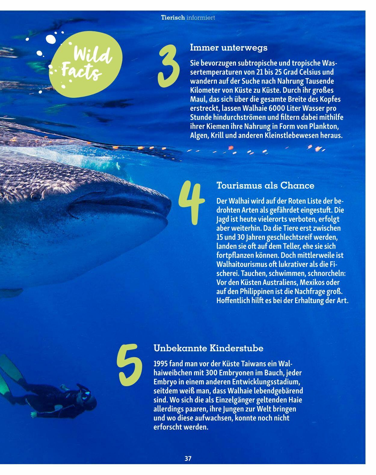 Prospekt Fressnapf 04.05.2023 - 30.06.2023