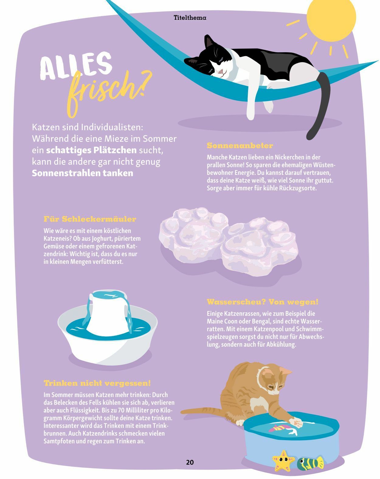 Prospekt Fressnapf 01.07.2023 - 31.08.2023