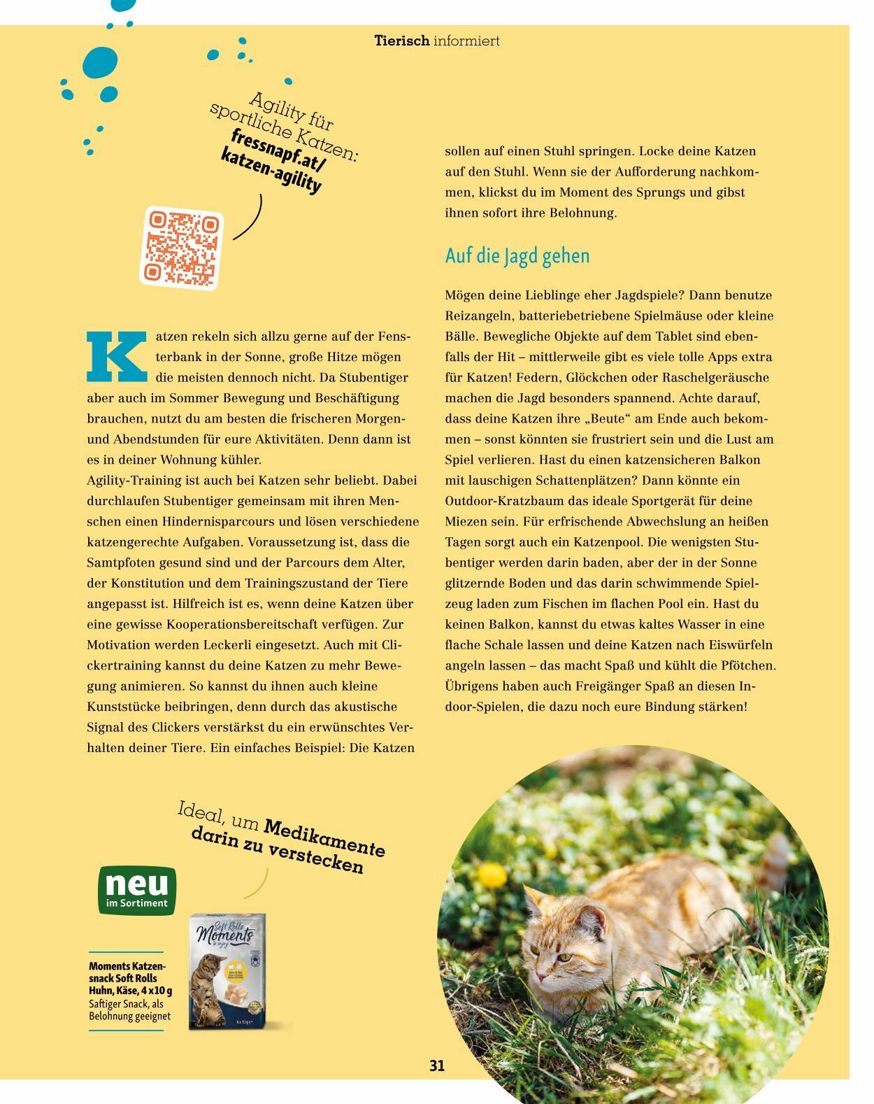 Prospekt Fressnapf 01.07.2023 - 31.08.2023