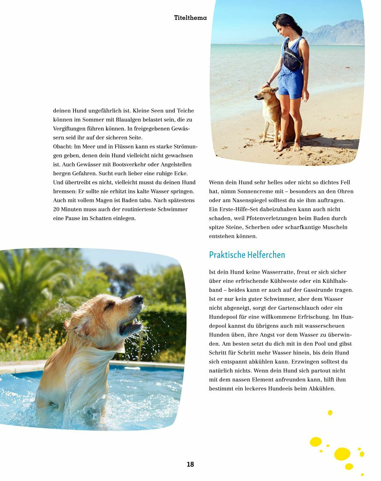 Prospekt Fressnapf 01.07.2023 - 31.08.2023