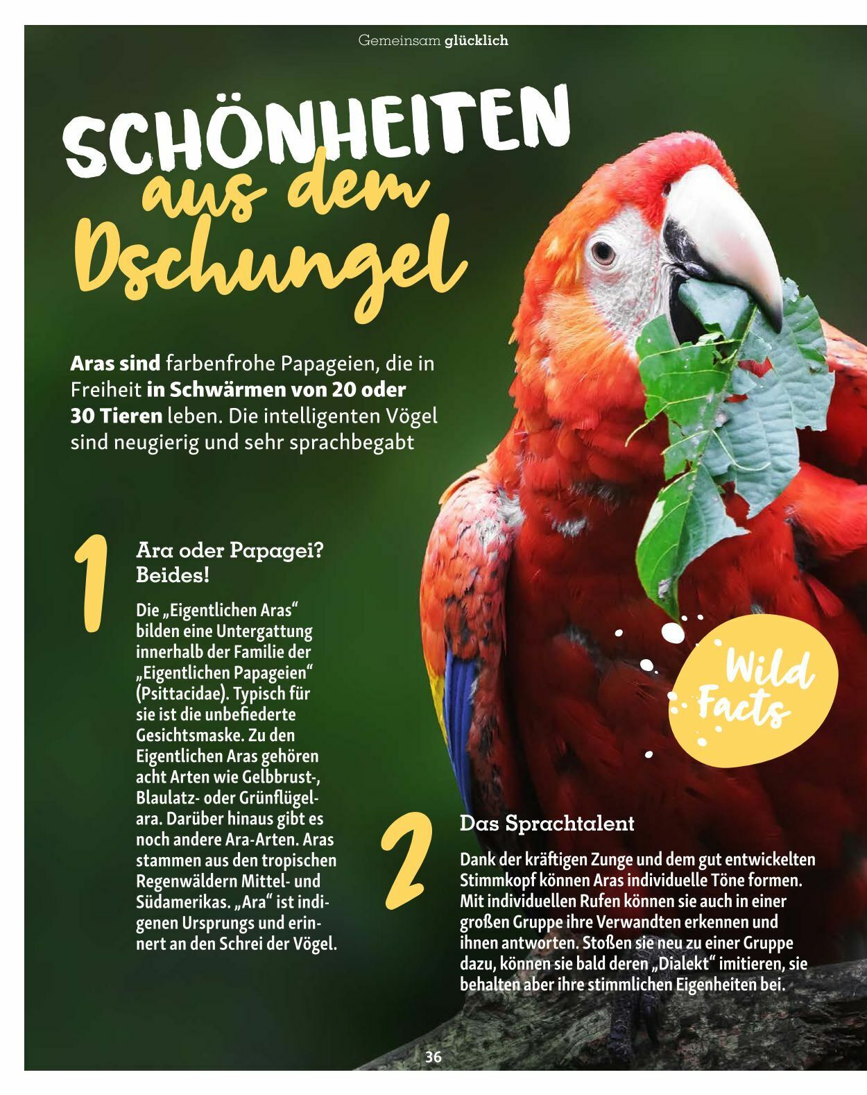 Prospekt Fressnapf 01.07.2023 - 31.08.2023