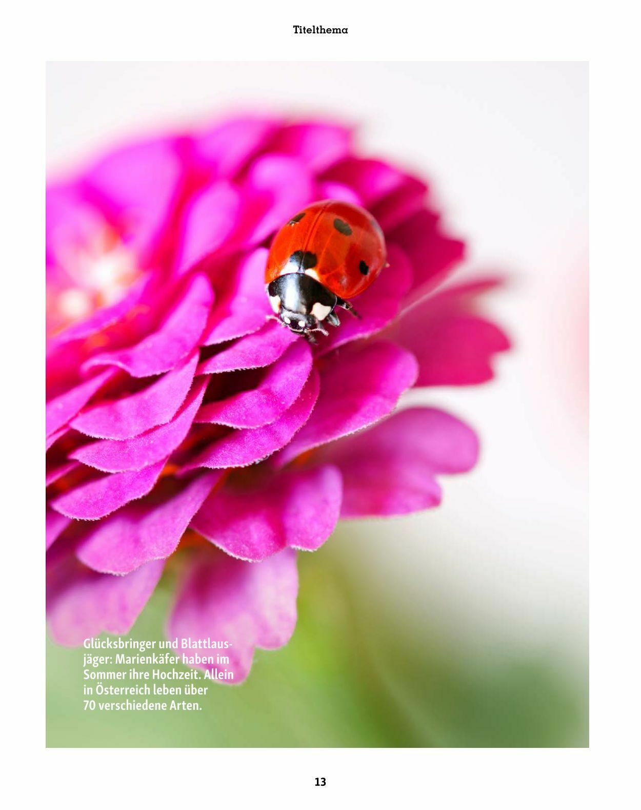 Prospekt Fressnapf 01.07.2023 - 31.08.2023