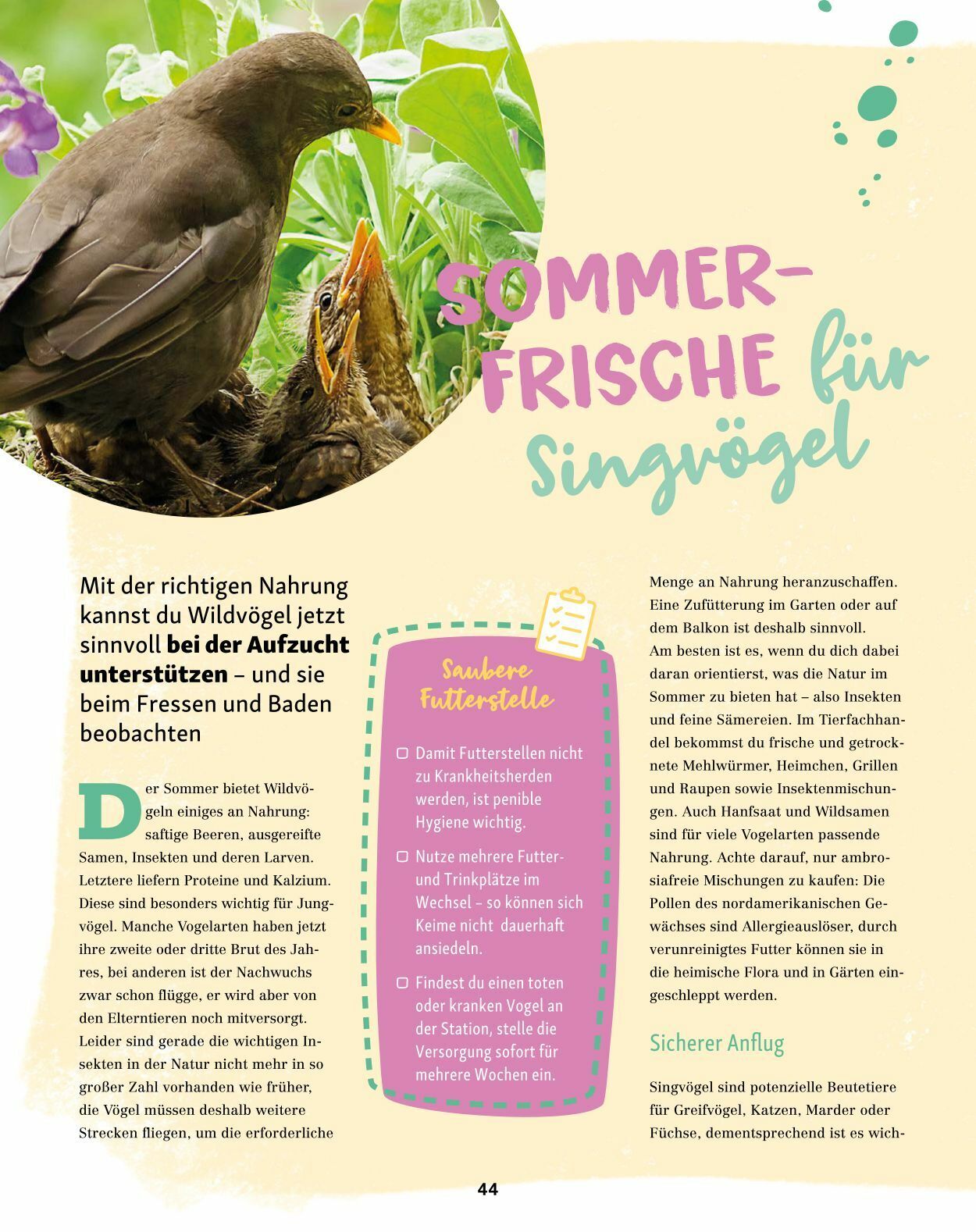 Prospekt Fressnapf 01.07.2023 - 31.08.2023