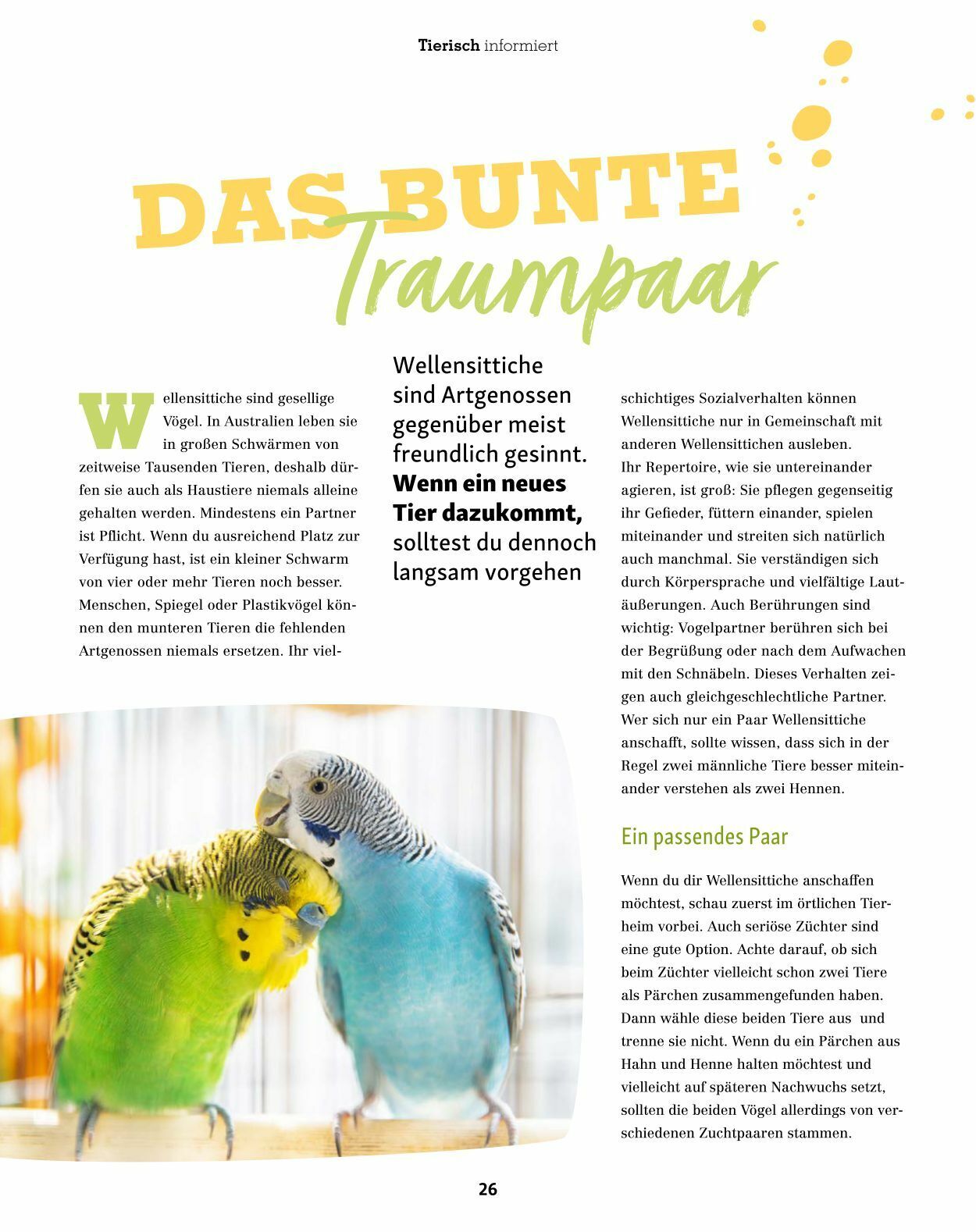 Prospekt Fressnapf 01.07.2023 - 31.08.2023