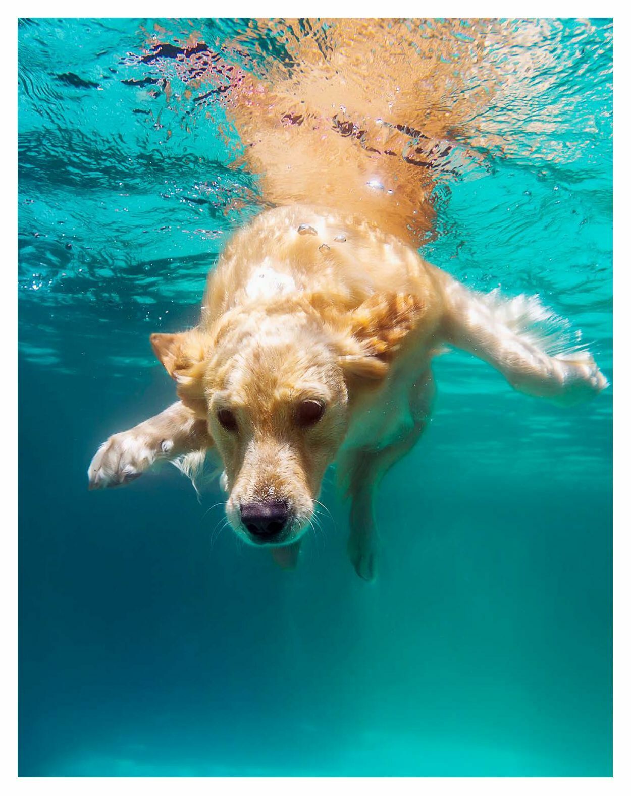 Prospekt Fressnapf 01.07.2023 - 31.08.2023