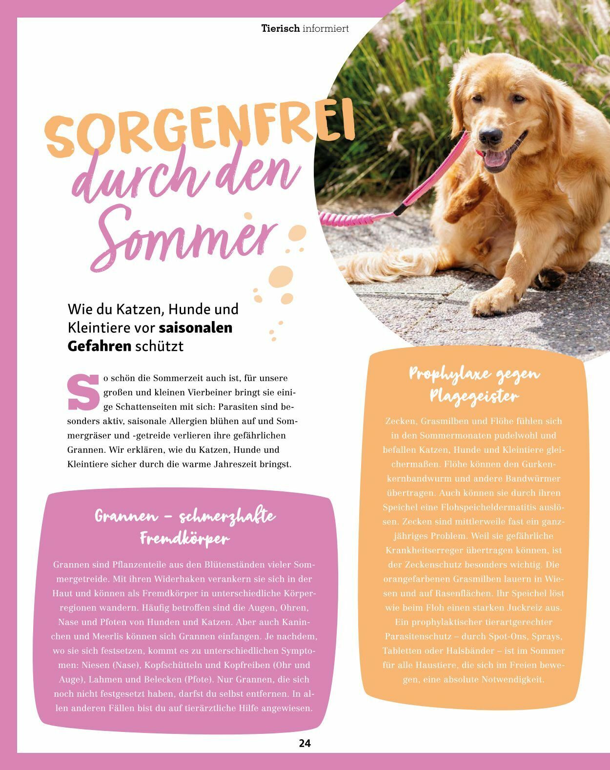 Prospekt Fressnapf 01.07.2023 - 31.08.2023