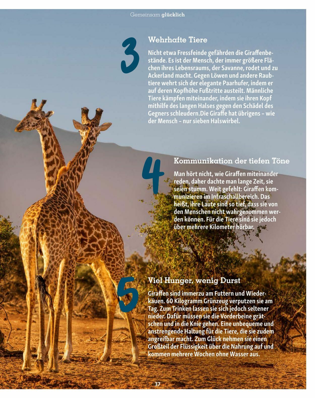 Prospekt Fressnapf 30.10.2023 - 31.12.2023