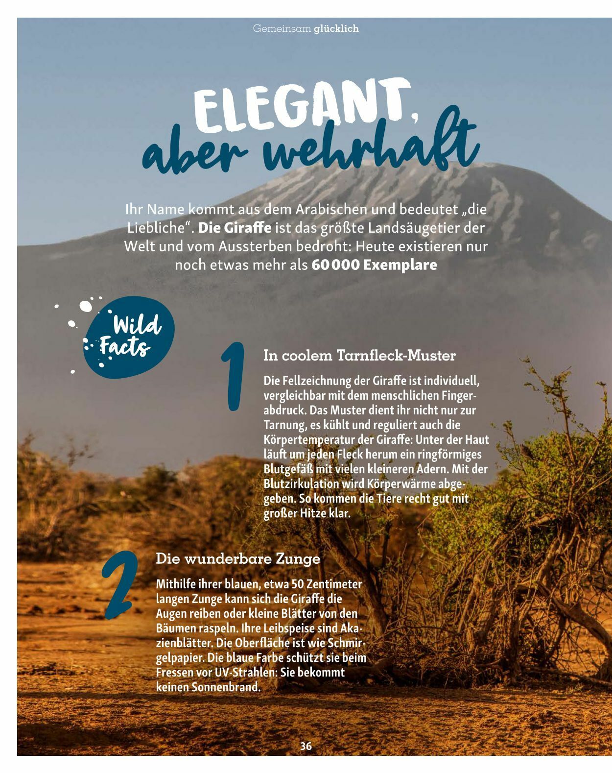 Prospekt Fressnapf 30.10.2023 - 31.12.2023