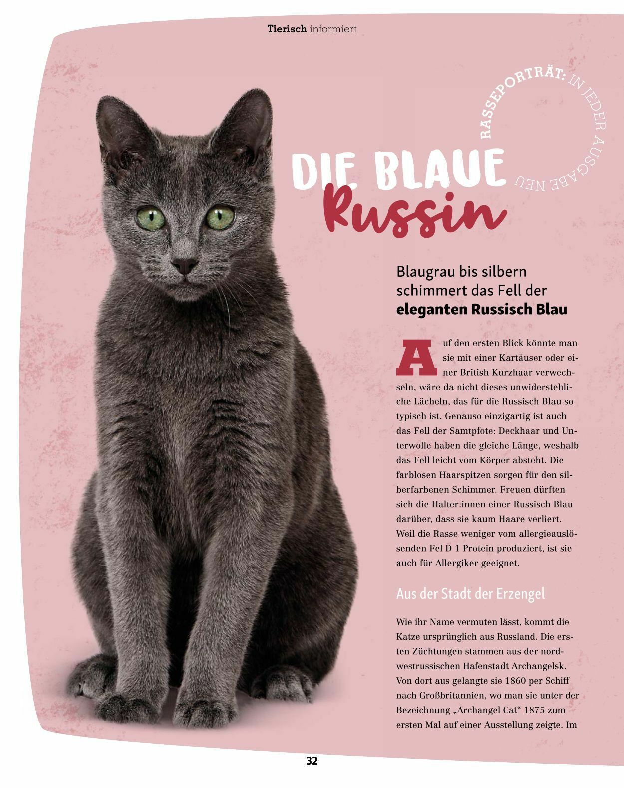 Prospekt Fressnapf 30.10.2023 - 31.12.2023