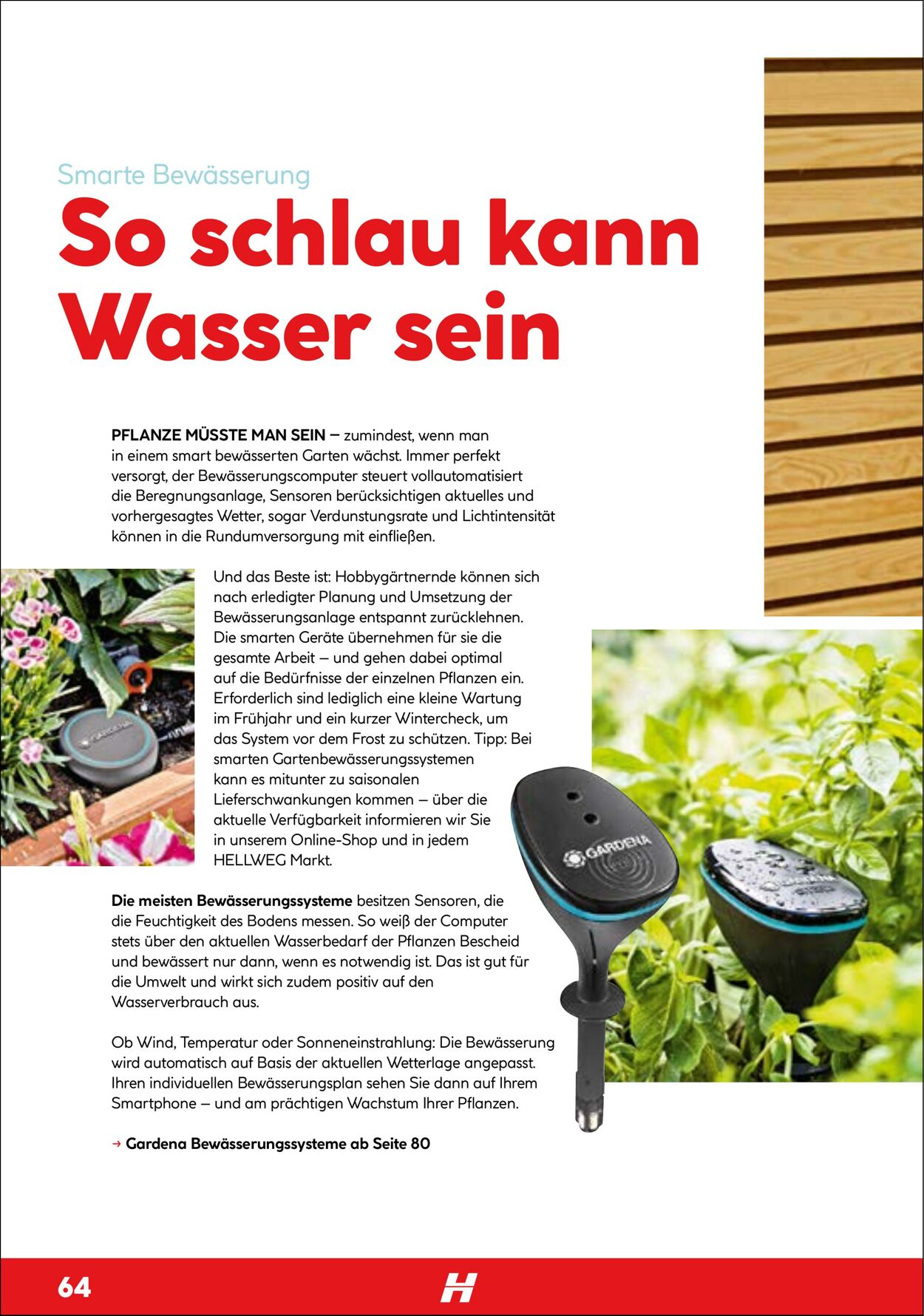 Prospekt Hellweg 01.04.2022 - 31.12.2022