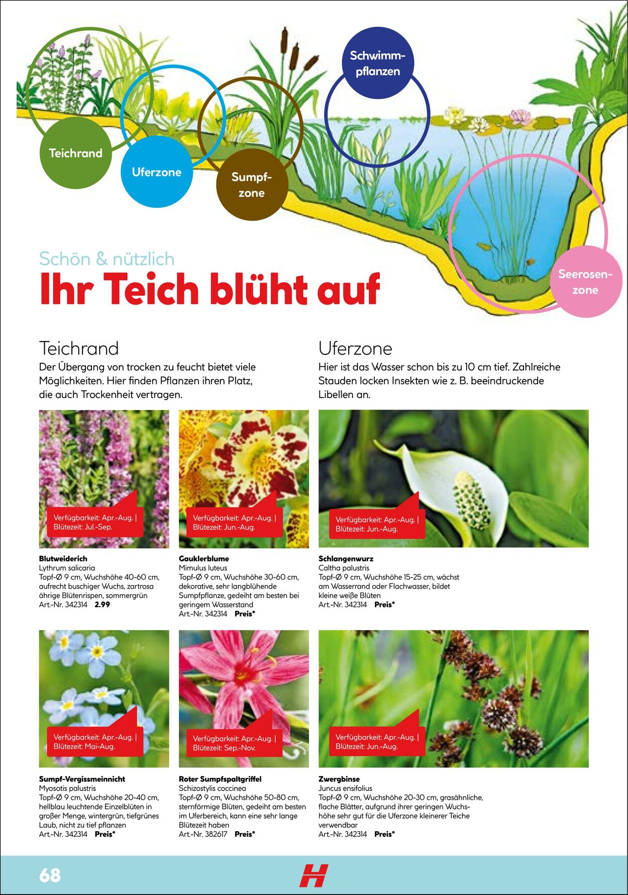 Prospekt Hellweg 01.04.2022 - 31.12.2022