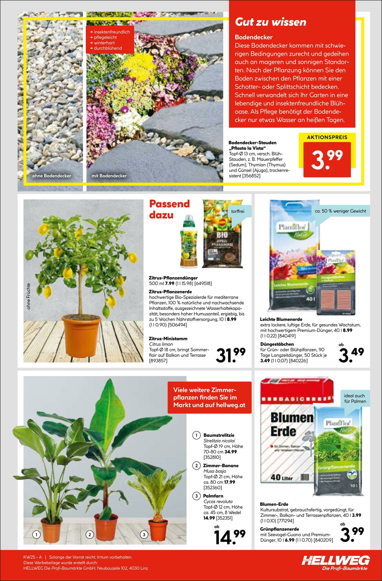 Prospekt Hellweg 22.06.2023 - 05.07.2023