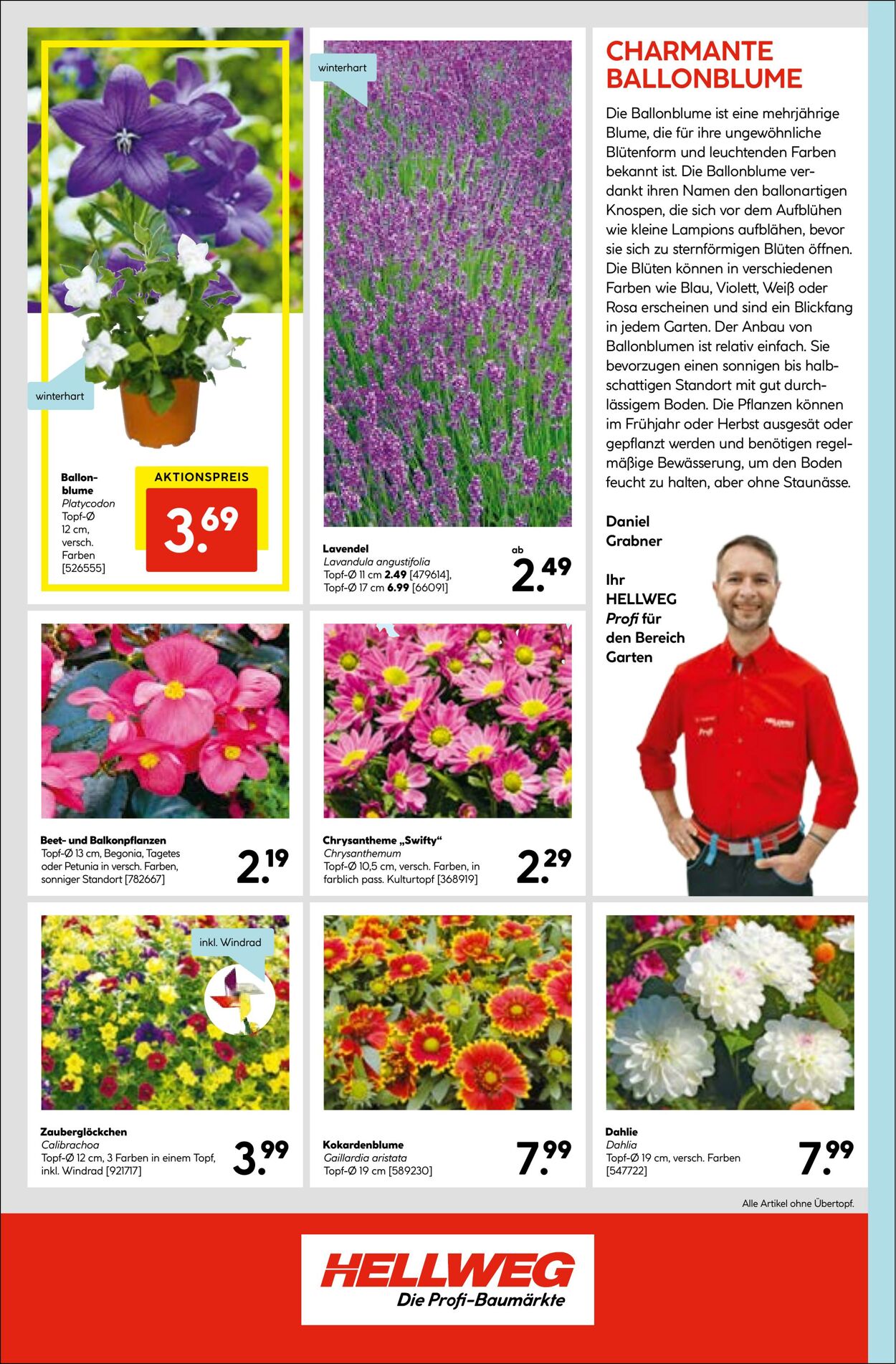 Prospekt Hellweg 22.06.2023 - 05.07.2023