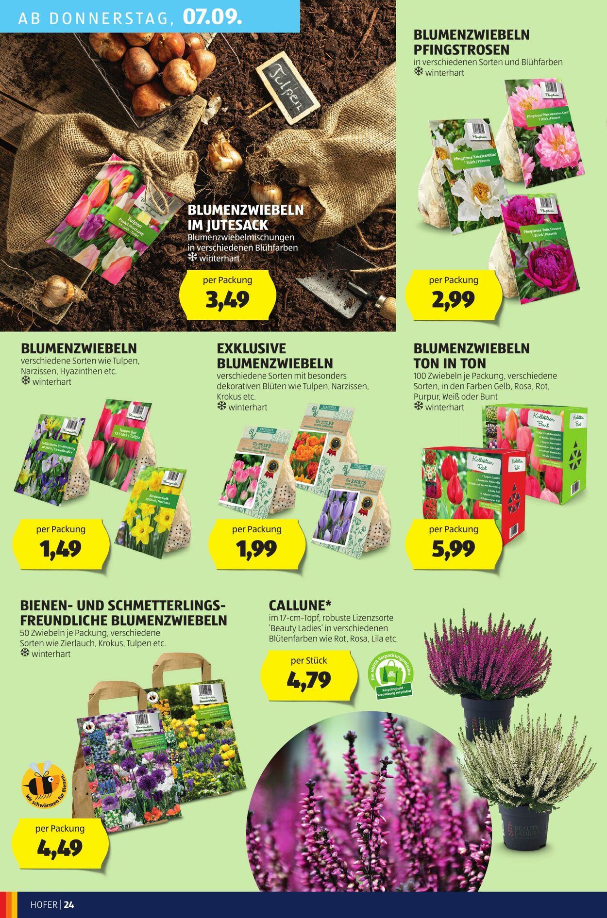 Prospekt Hofer 01.09.2023 - 07.09.2023