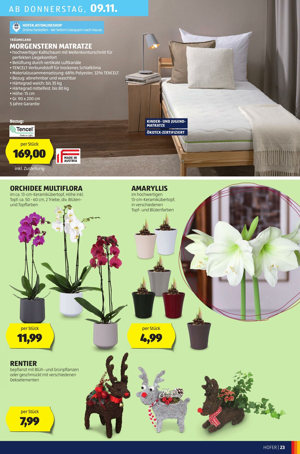 Prospekt Hofer 03.11.2023 - 09.11.2023