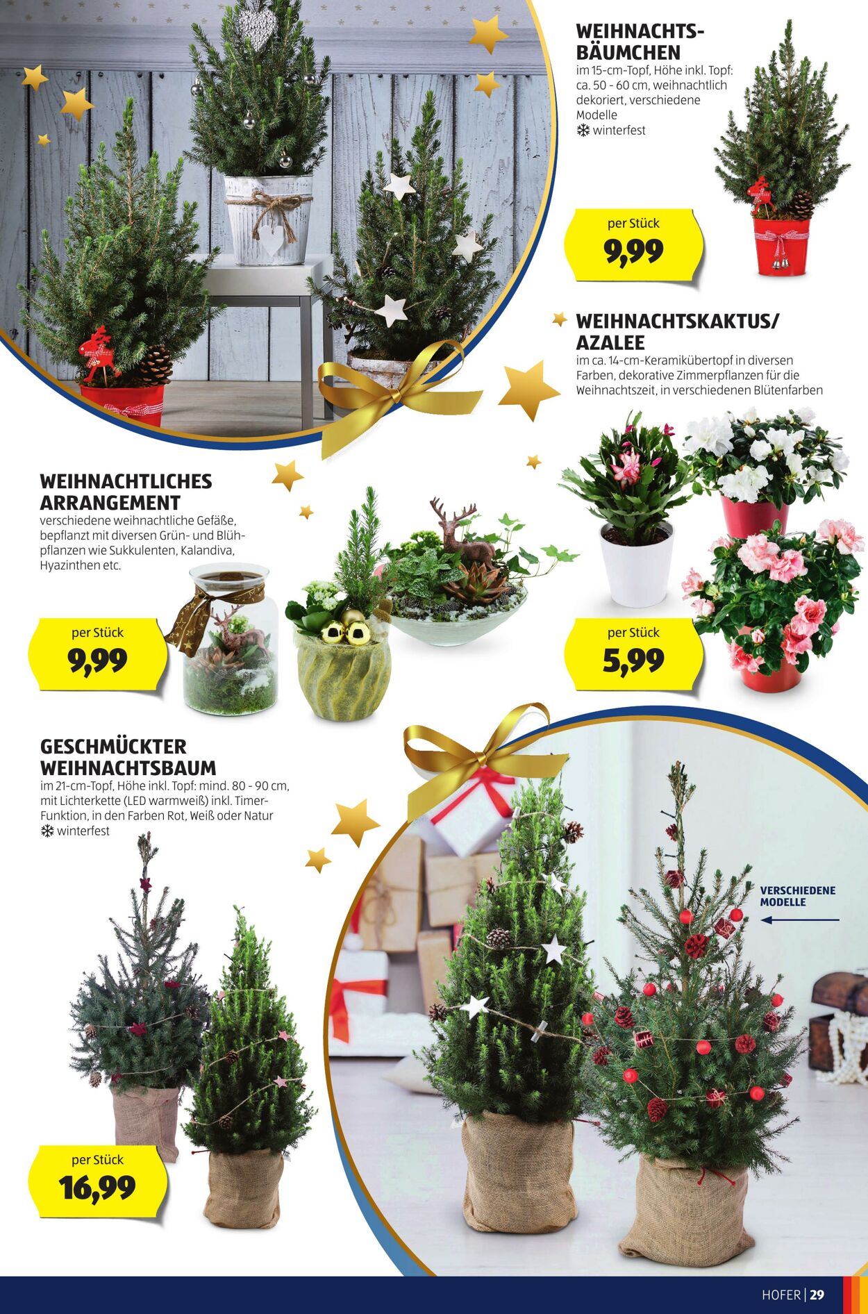 Prospekt Hofer 24.11.2023 - 30.11.2023