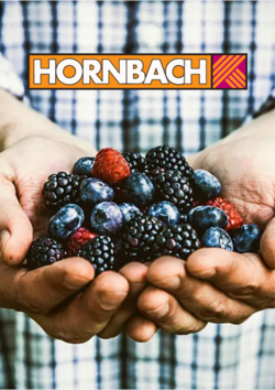 Prospekt Hornbach 09.03.2023 - 15.03.2023