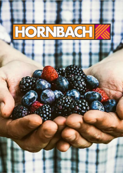 Prospekt Hornbach 26.06.2024 - 04.07.2024