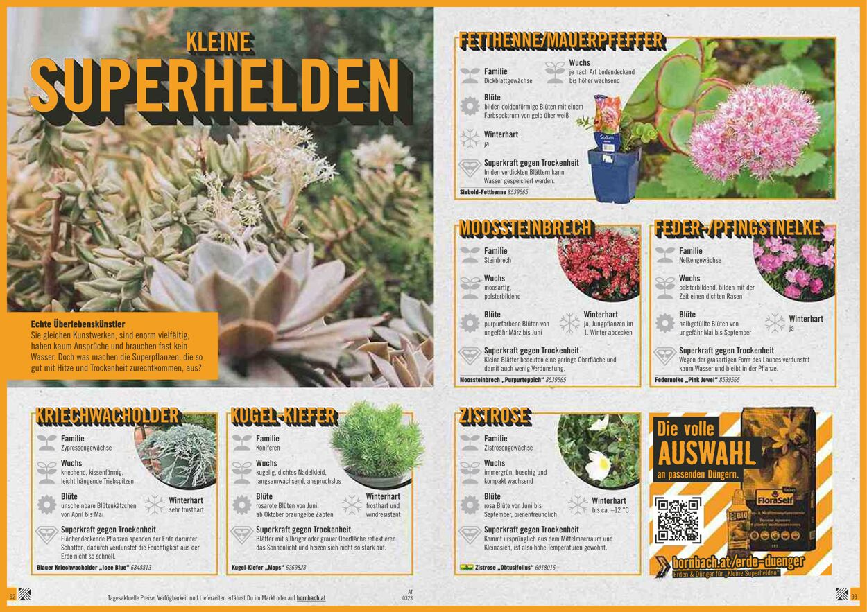 Prospekt Hornbach 01.03.2023 - 31.03.2023