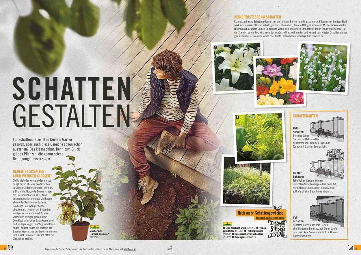 Prospekt Hornbach 01.03.2023 - 31.03.2023