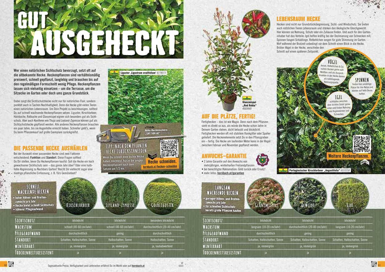 Prospekt Hornbach 01.03.2023 - 31.03.2023