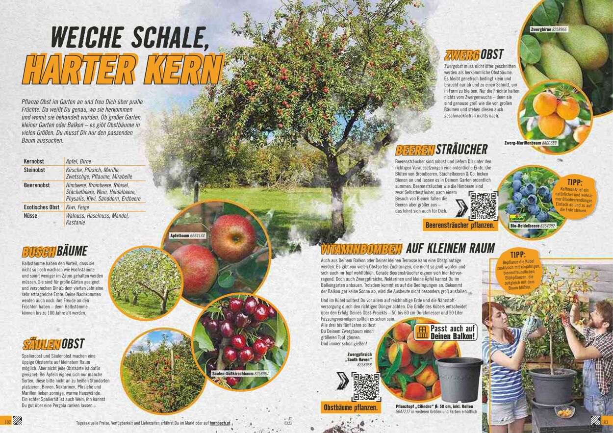 Prospekt Hornbach 01.03.2023 - 31.03.2023