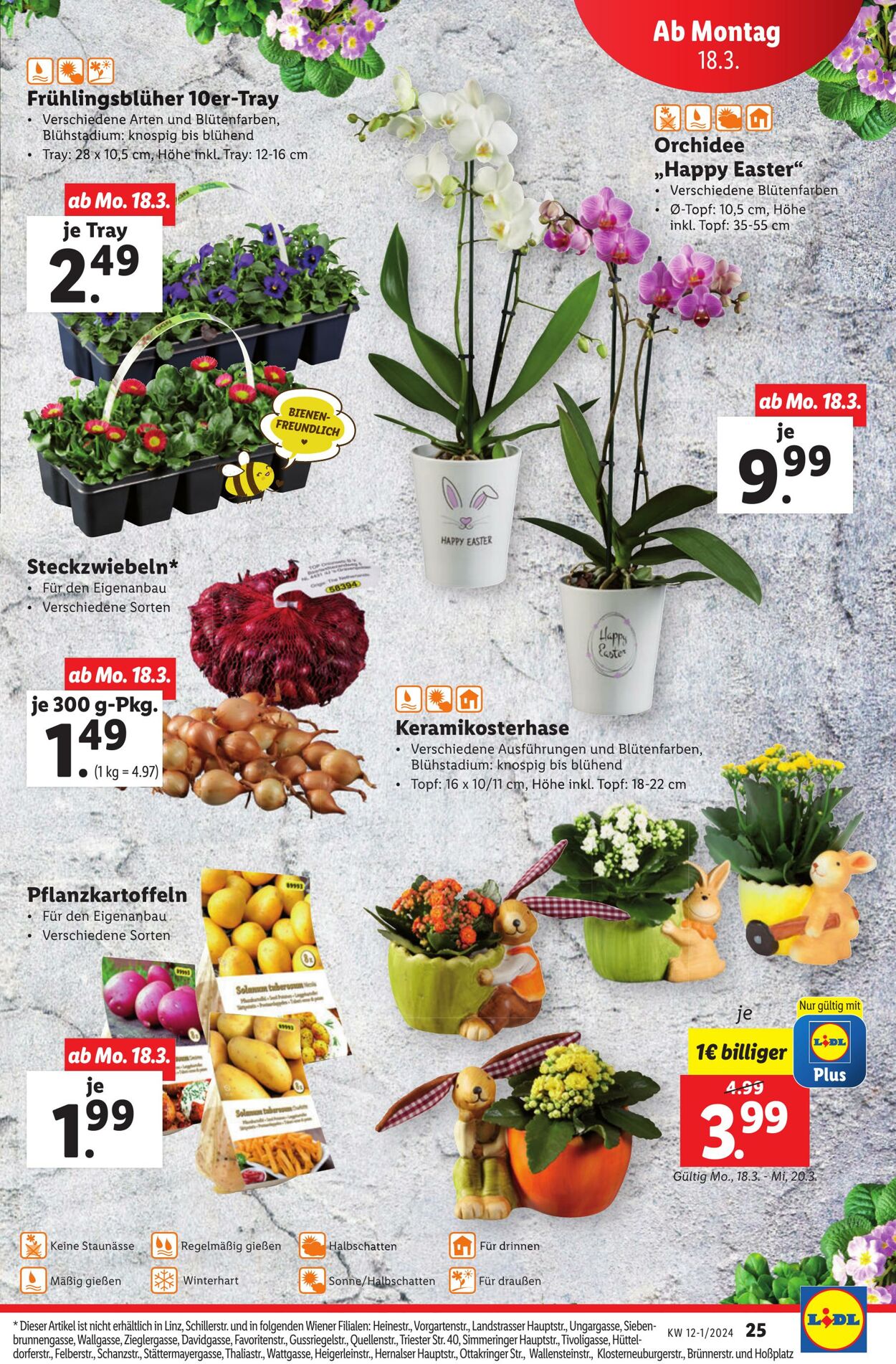 Prospekt Lidl 14.03.2024 - 20.03.2024