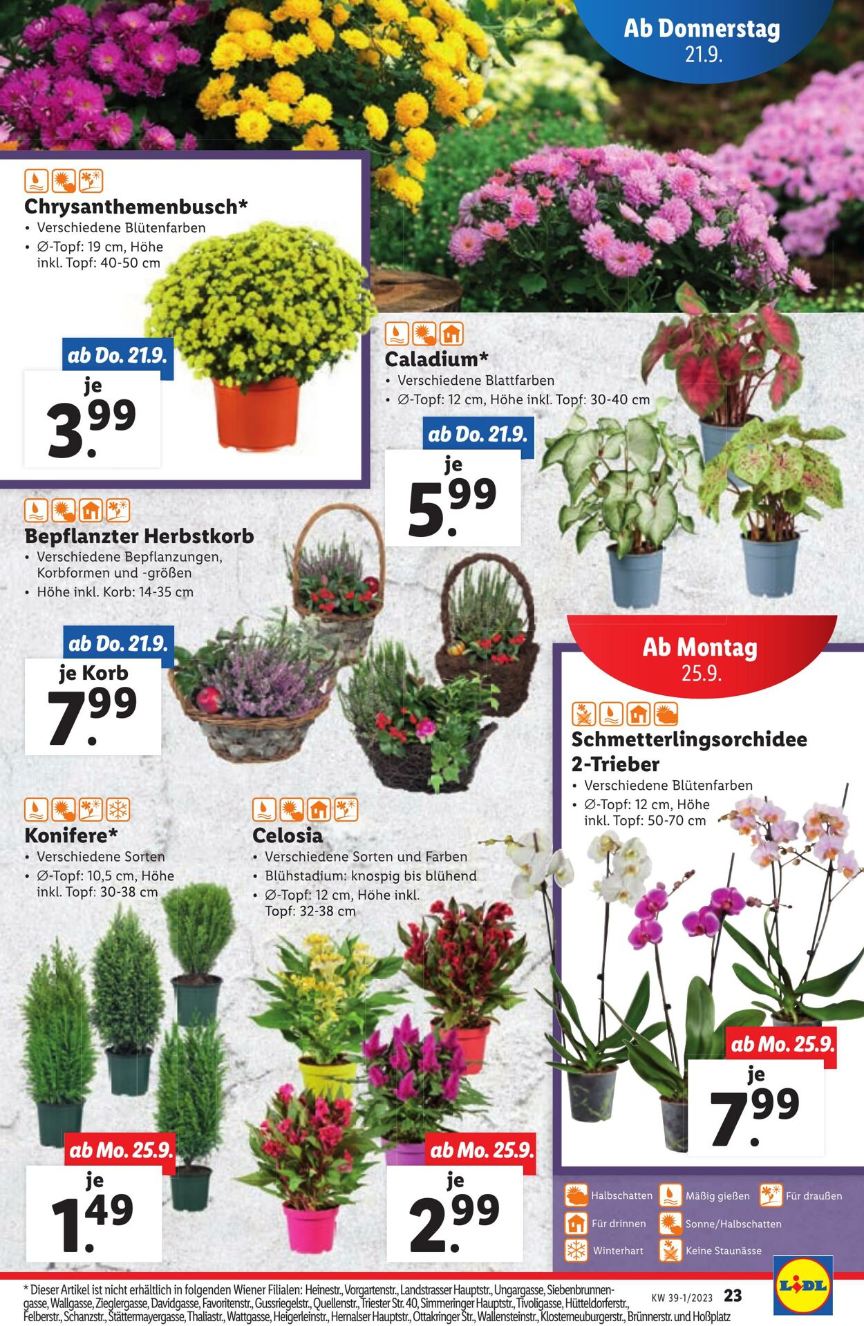 Prospekt Lidl 21.09.2023 - 23.09.2023