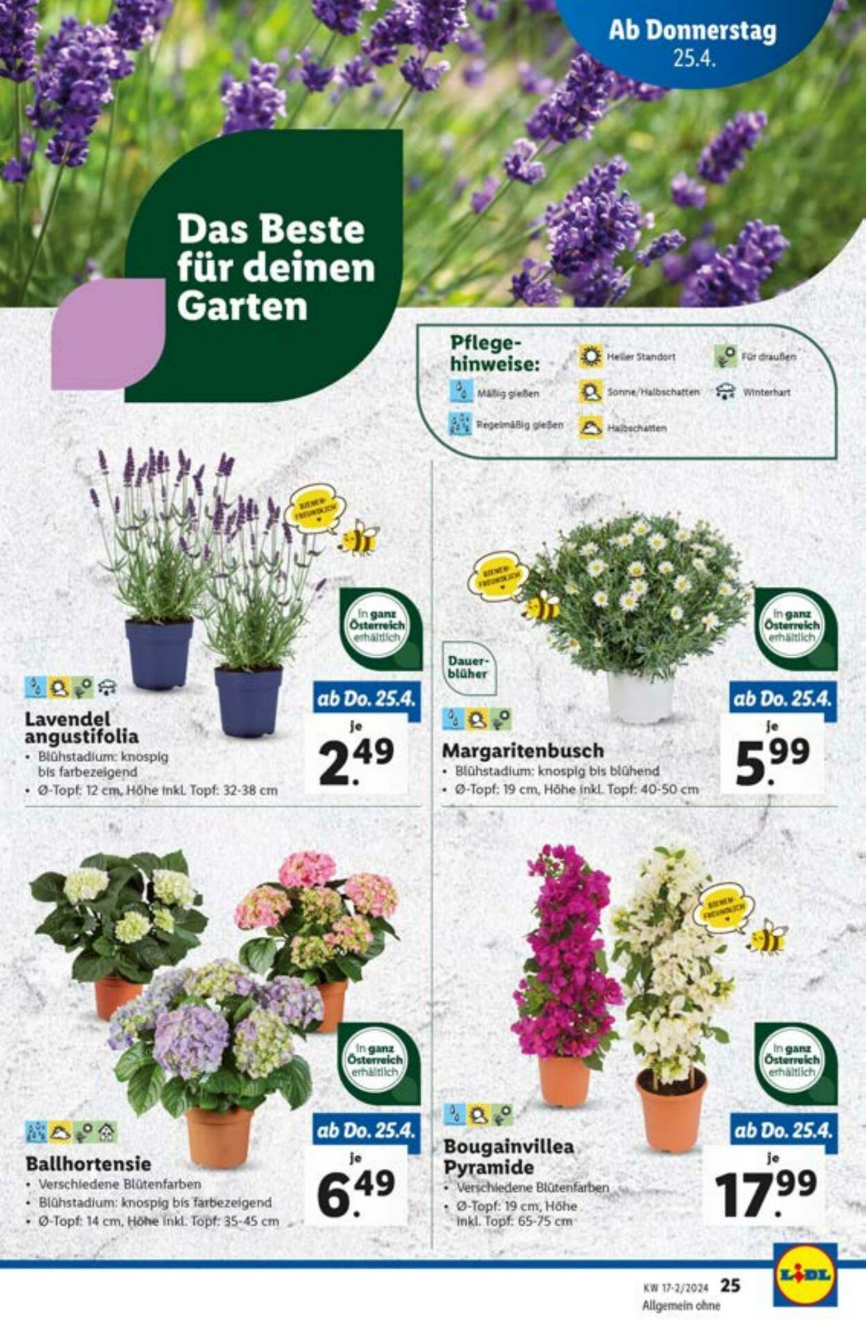 Prospekt Lidl 25.04.2024 - 30.04.2024