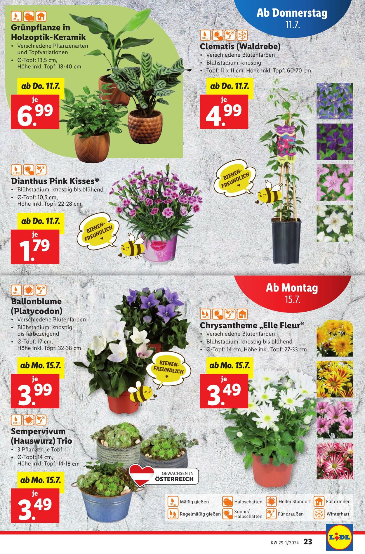 Prospekt Lidl 11.07.2024 - 13.07.2024