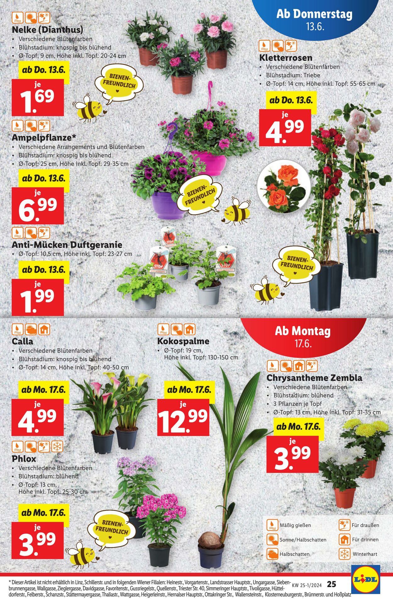 Prospekt Lidl 13.06.2024 - 19.06.2024