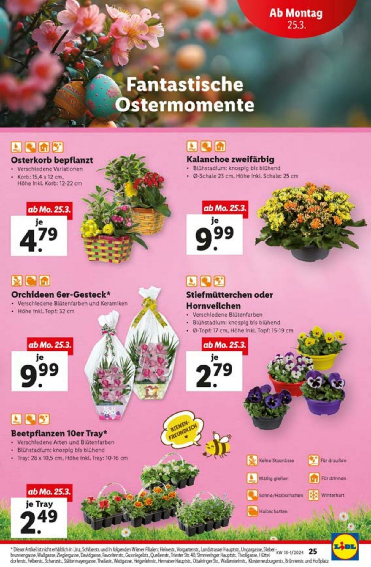 Prospekt Lidl 21.03.2024 - 27.03.2024