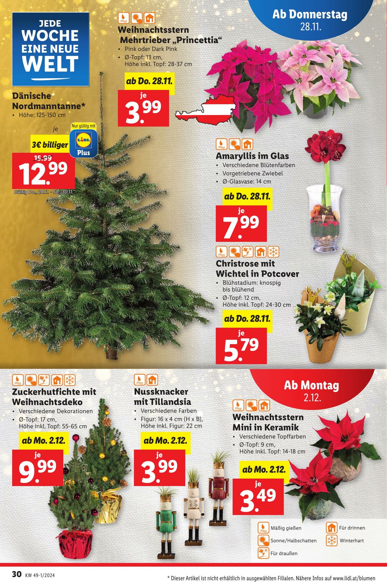 Prospekt Lidl 28.11.2024 - 04.12.2024