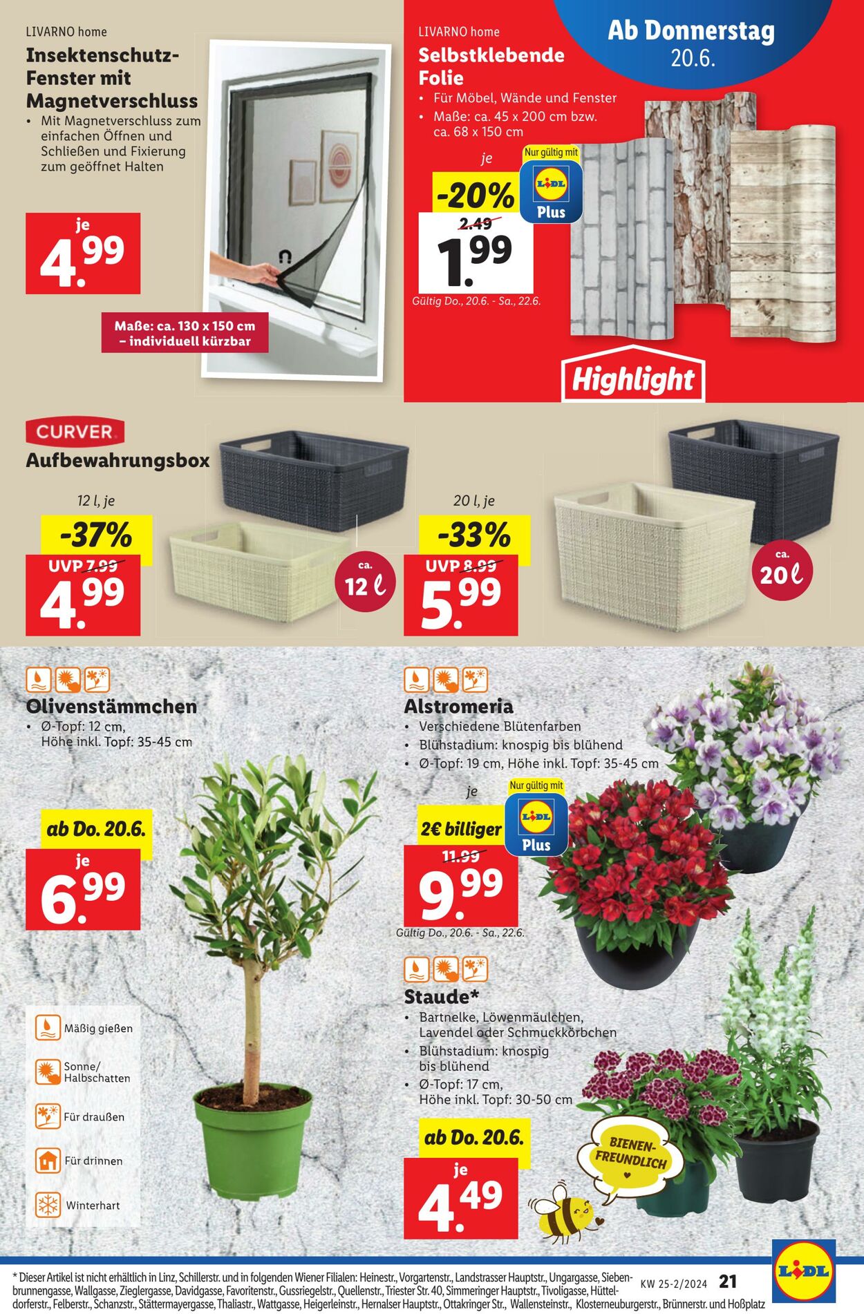 Prospekt Lidl 20.06.2024 - 26.06.2024