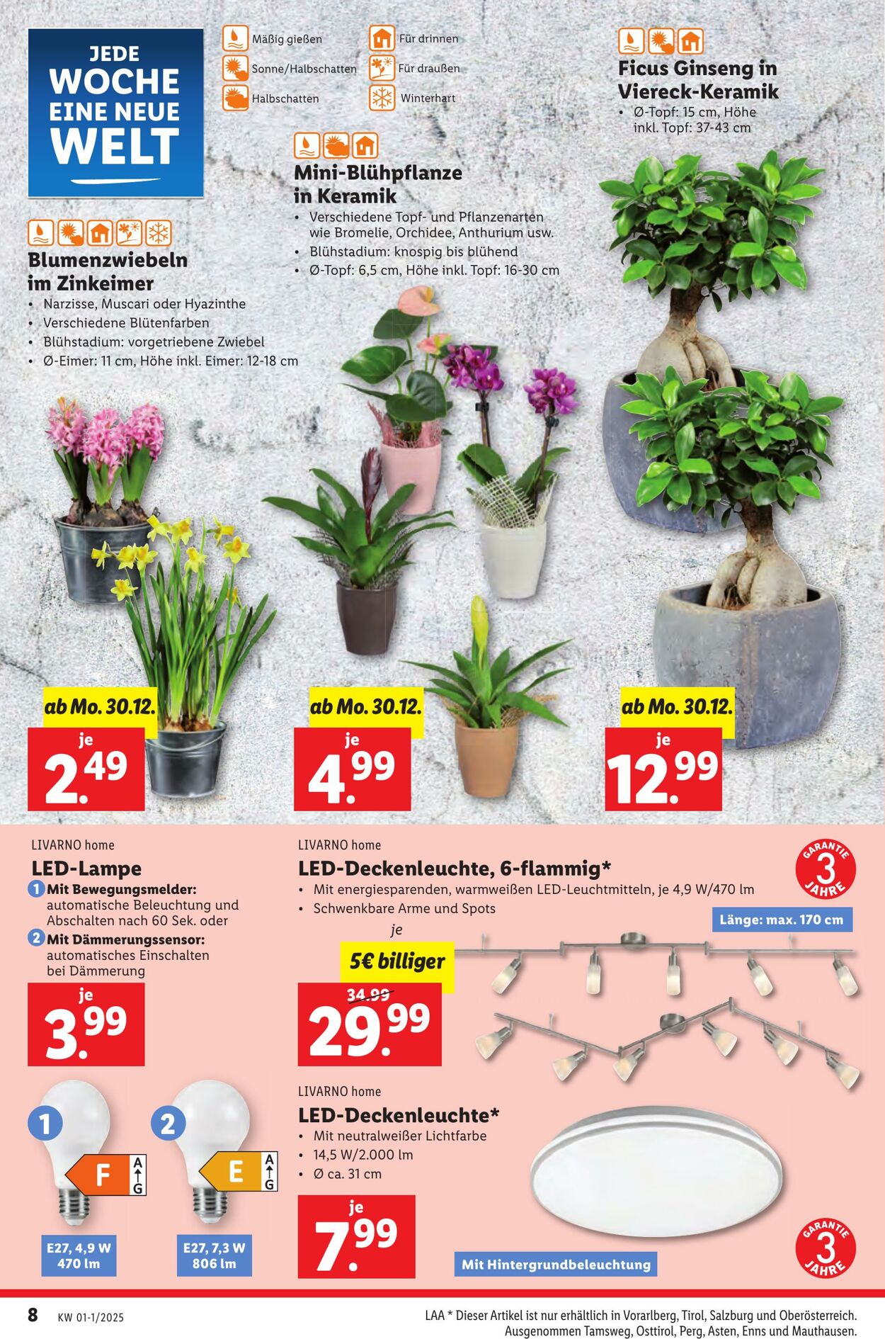 Prospekt Lidl 30.12.2024 - 31.12.2024