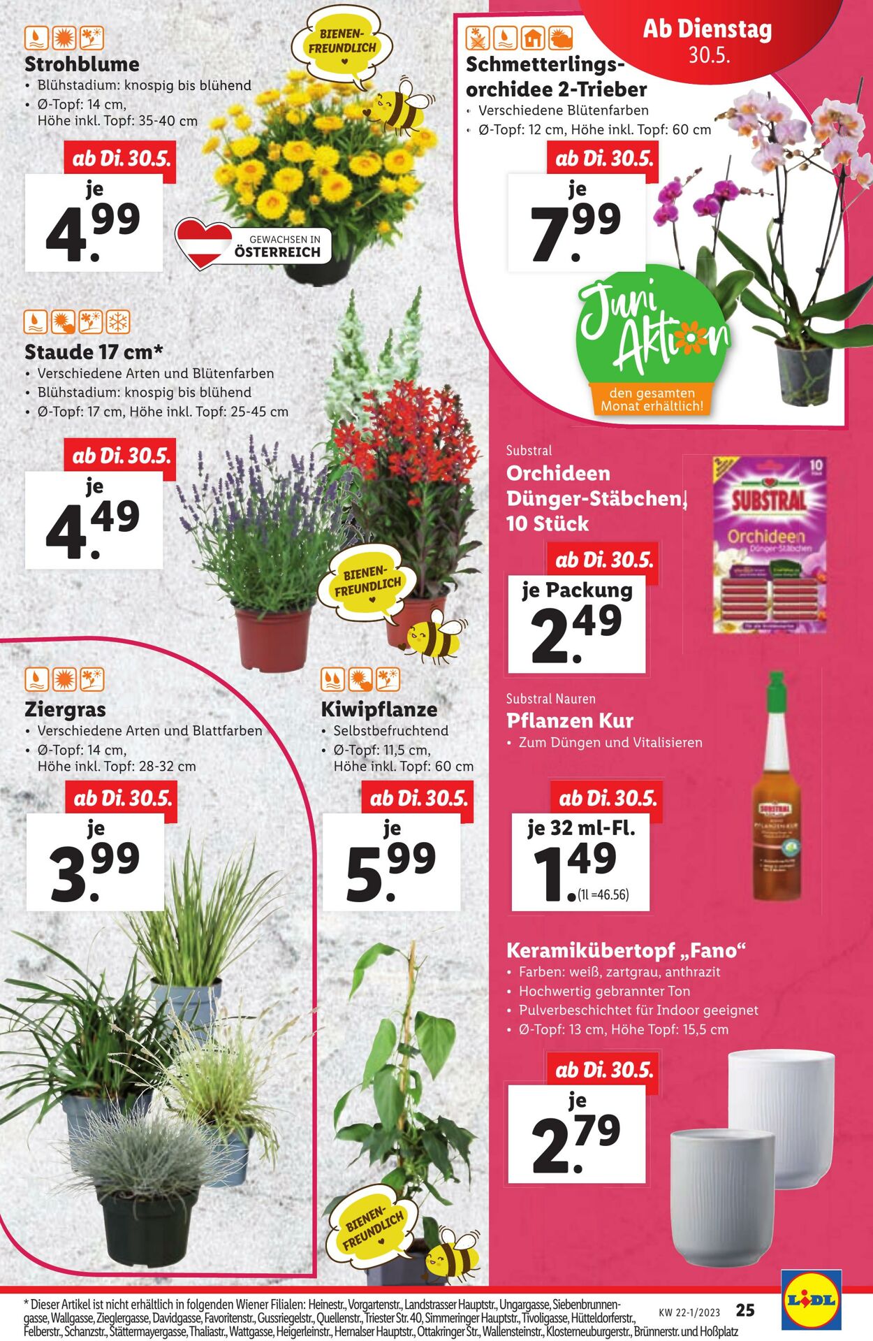 Prospekt Lidl 25.05.2023 - 31.05.2023