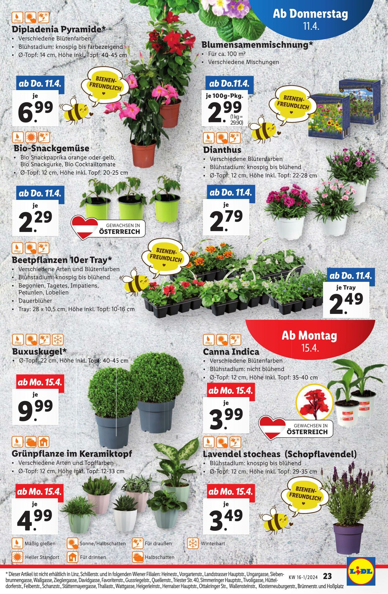 Prospekt Lidl 11.04.2024 - 17.04.2024