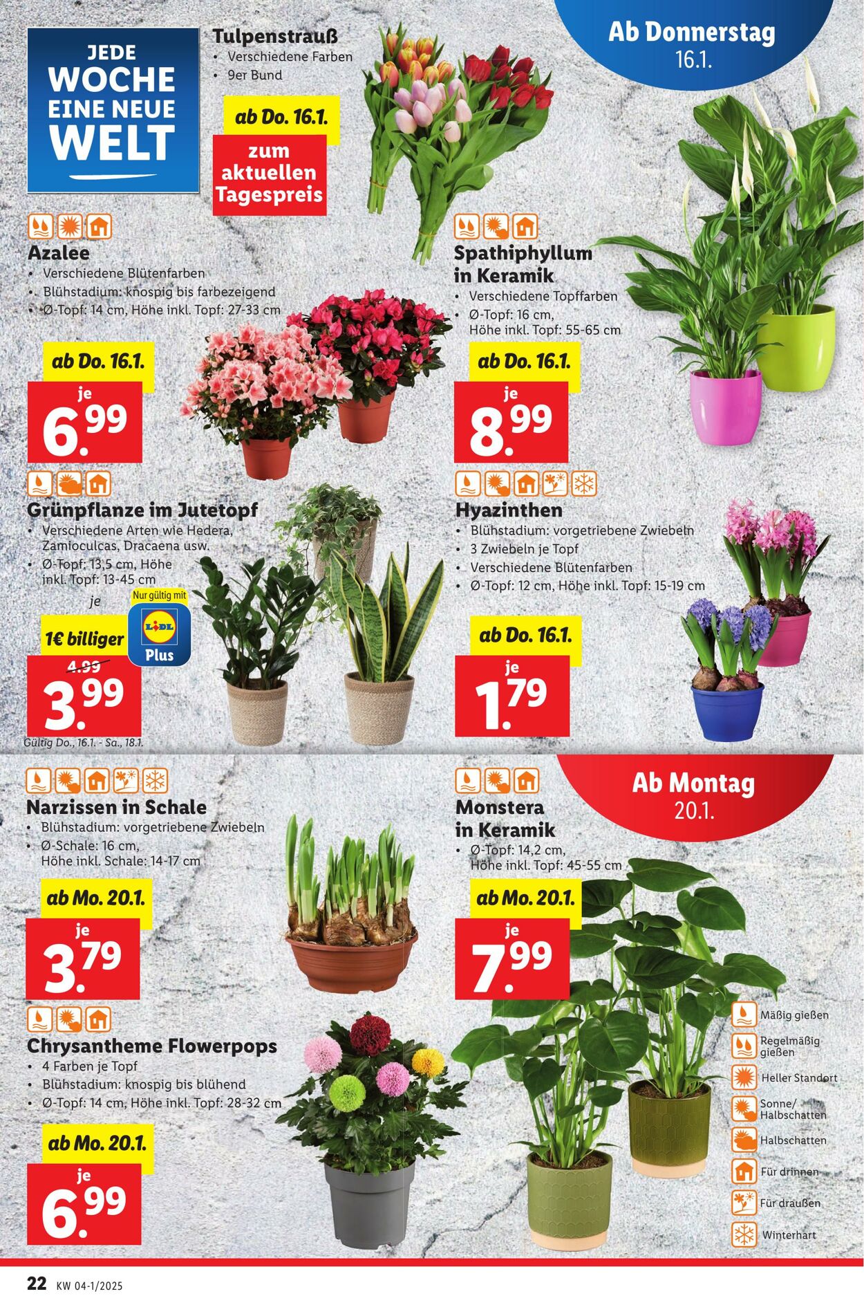 Prospekt Lidl 16.01.2025 - 22.01.2025