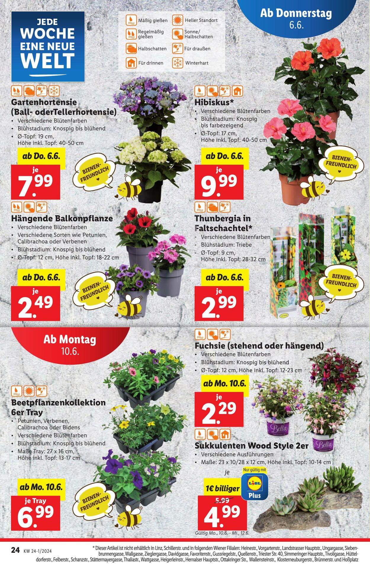 Prospekt Lidl 06.06.2024 - 12.06.2024