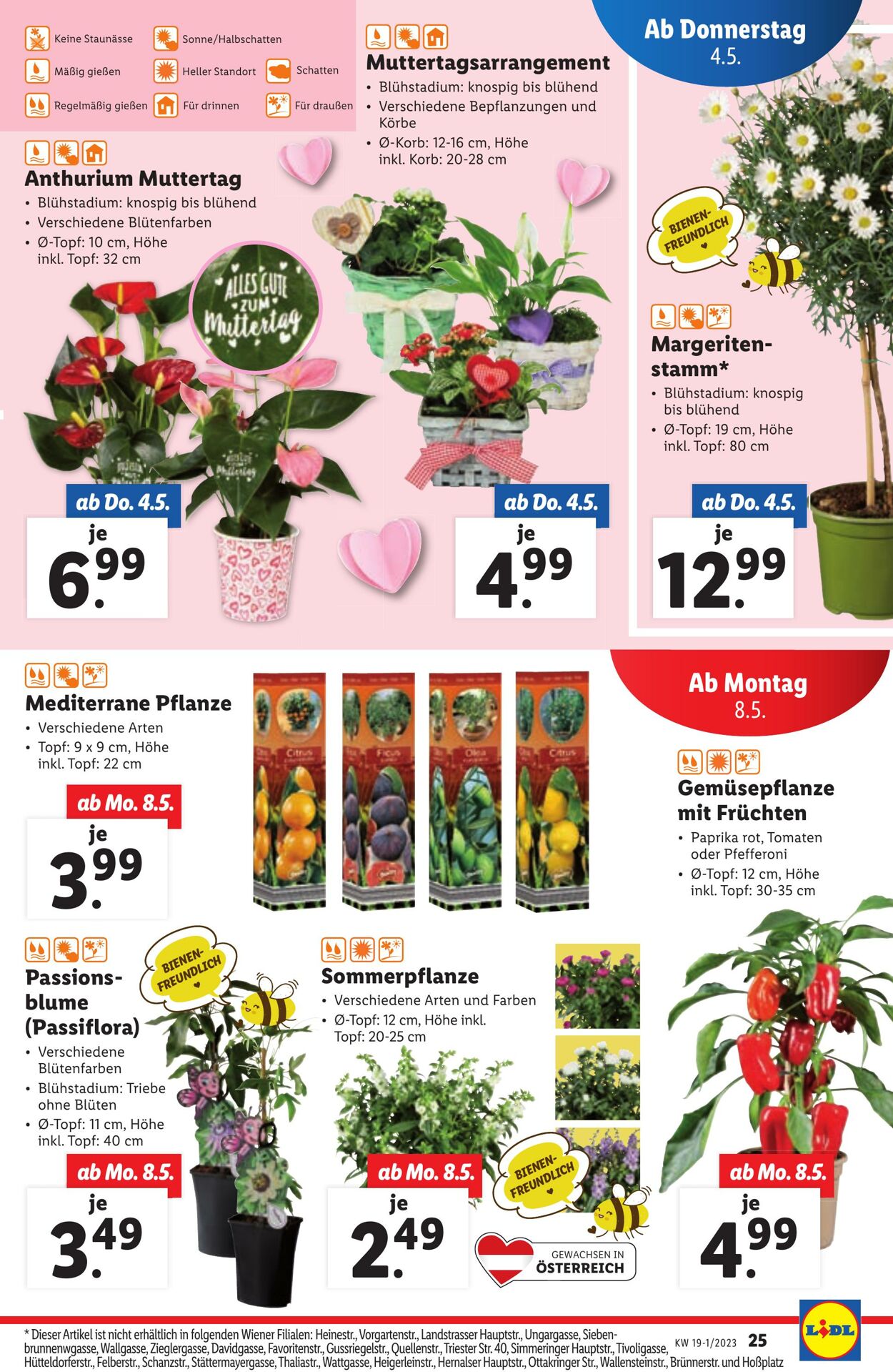 Prospekt Lidl 04.05.2023 - 10.05.2023