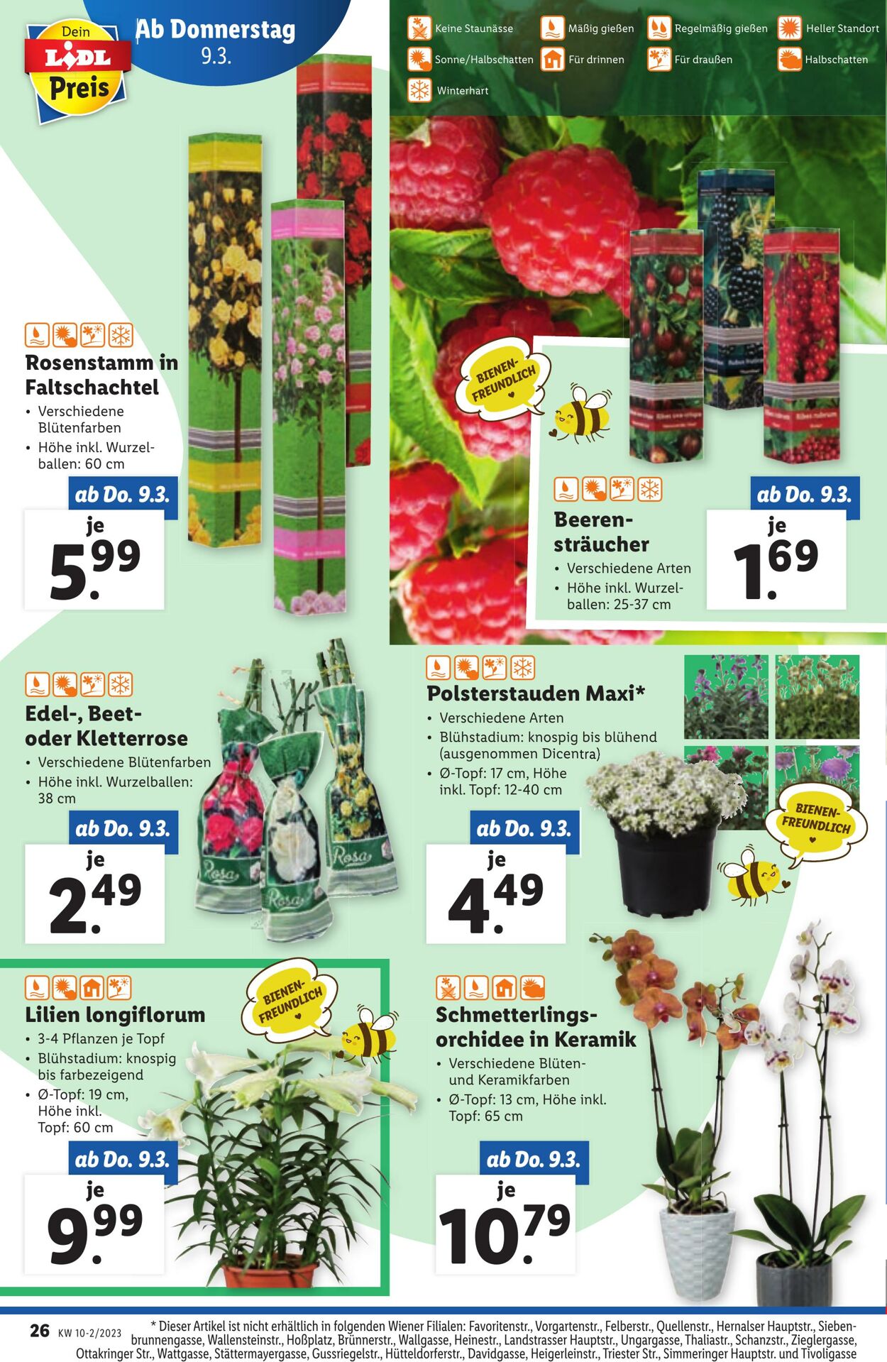 Prospekt Lidl 09.03.2023 - 15.03.2023