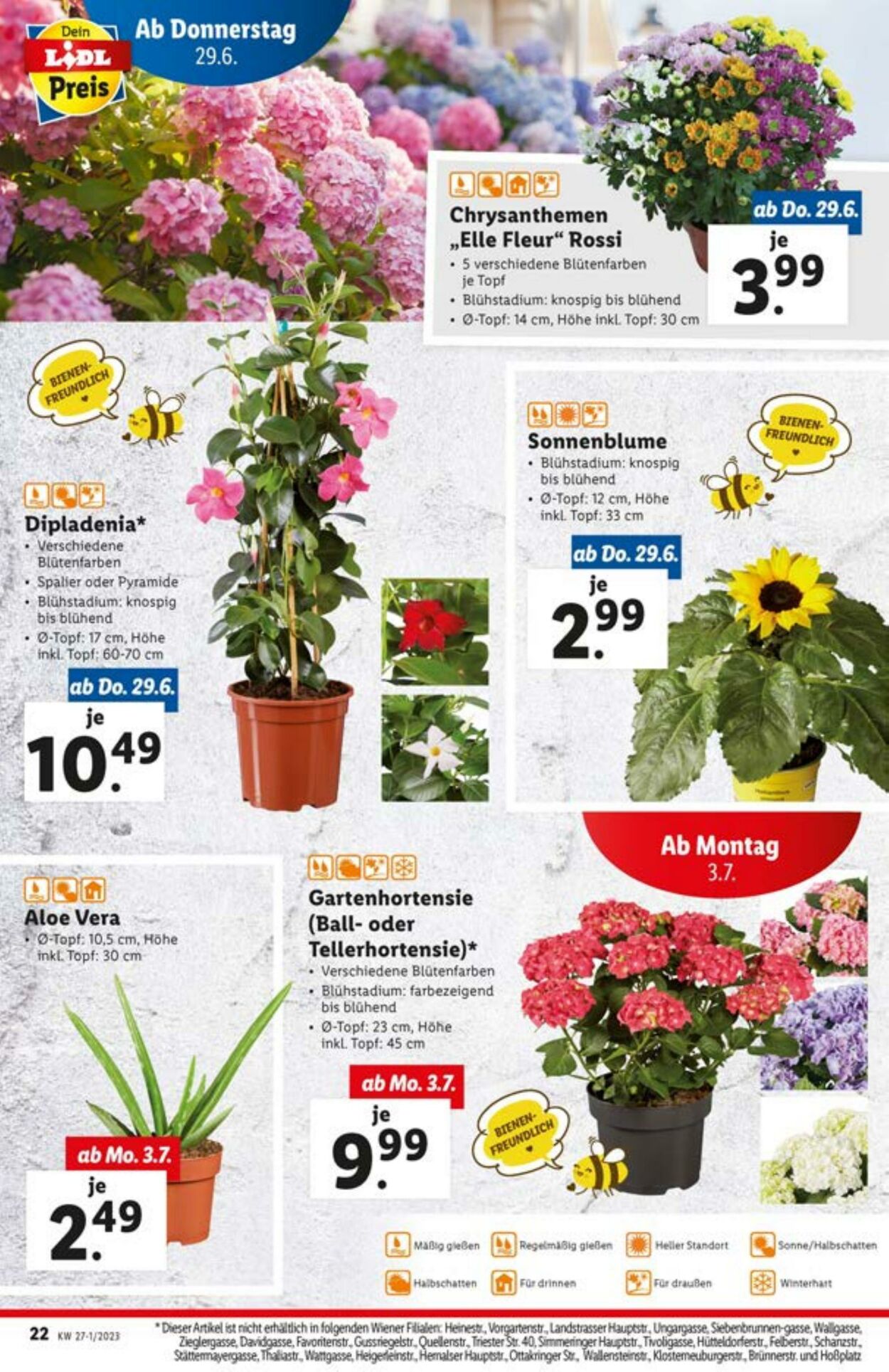 Prospekt Lidl 29.06.2023 - 05.07.2023