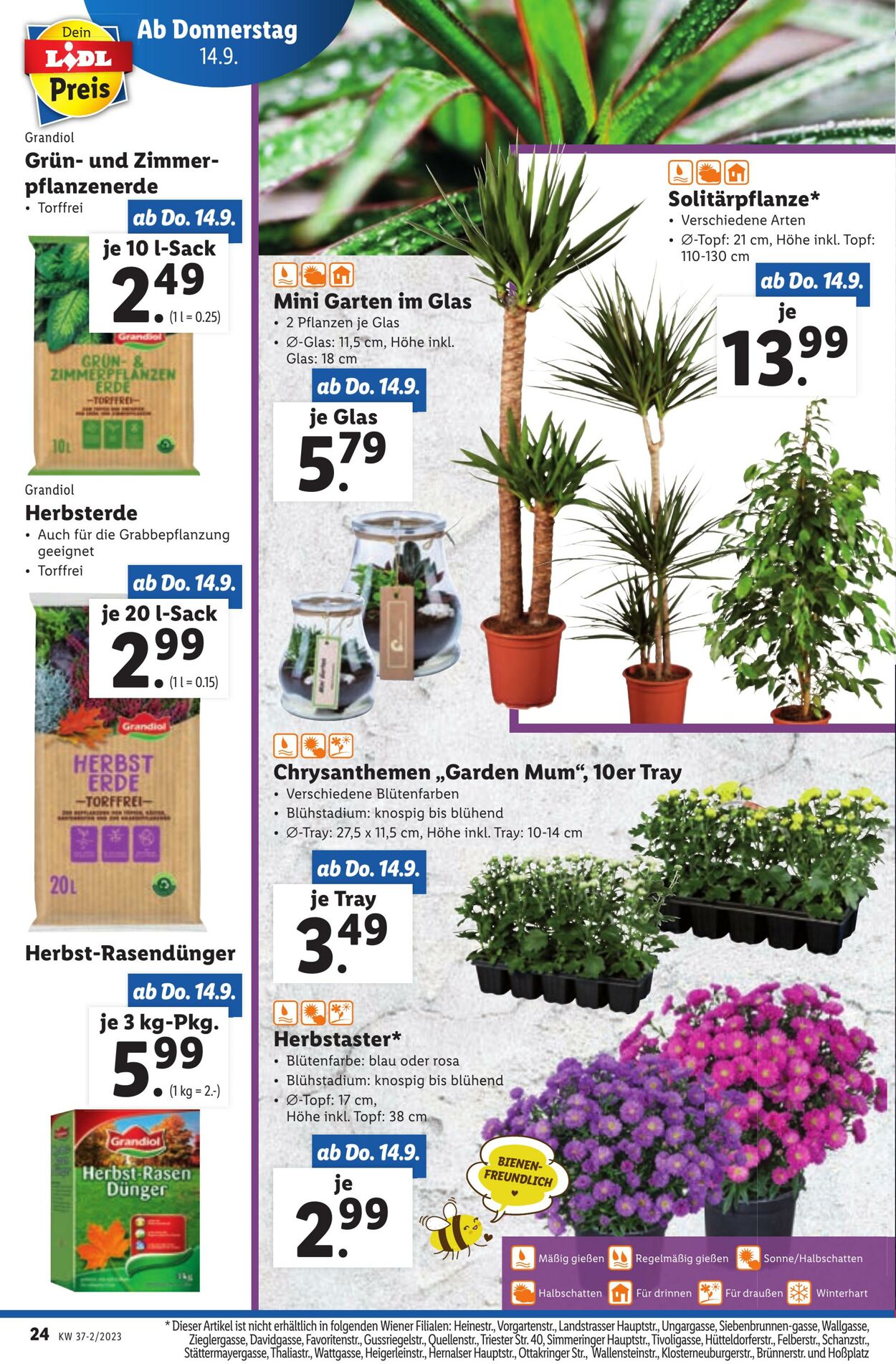 Prospekt Lidl 14.09.2023 - 20.09.2023