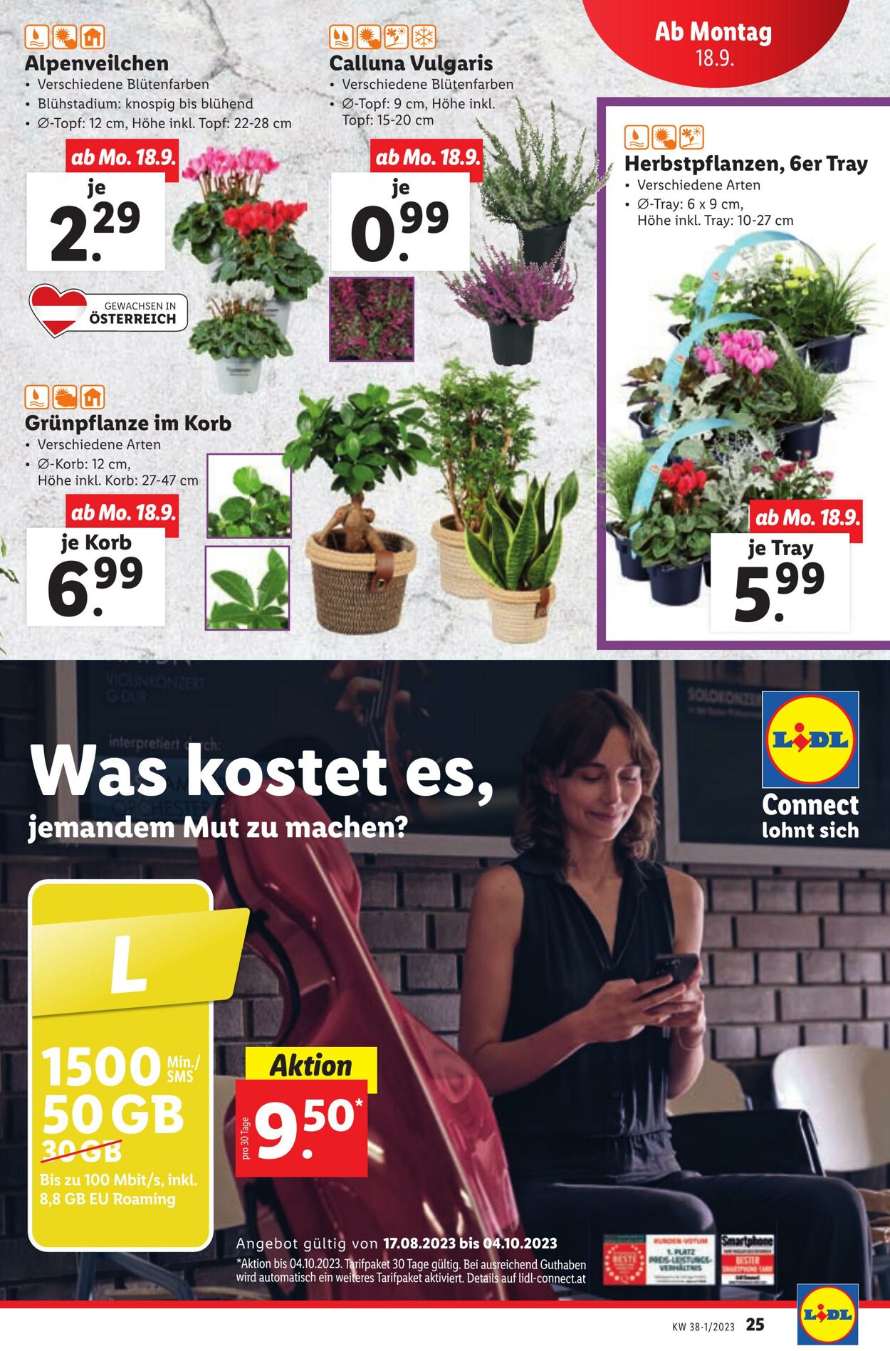 Prospekt Lidl 14.09.2023 - 20.09.2023