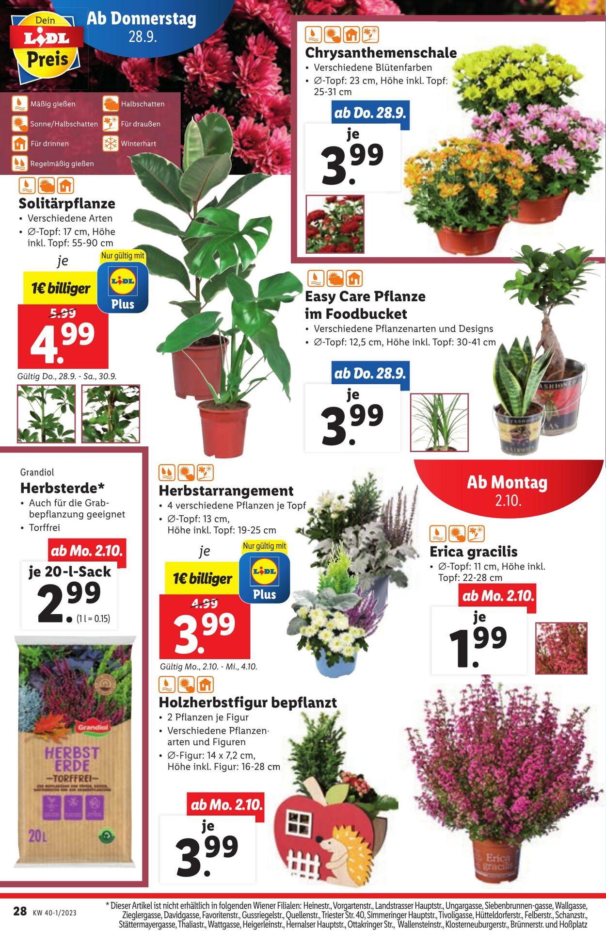 Prospekt Lidl 28.09.2023 - 29.09.2023