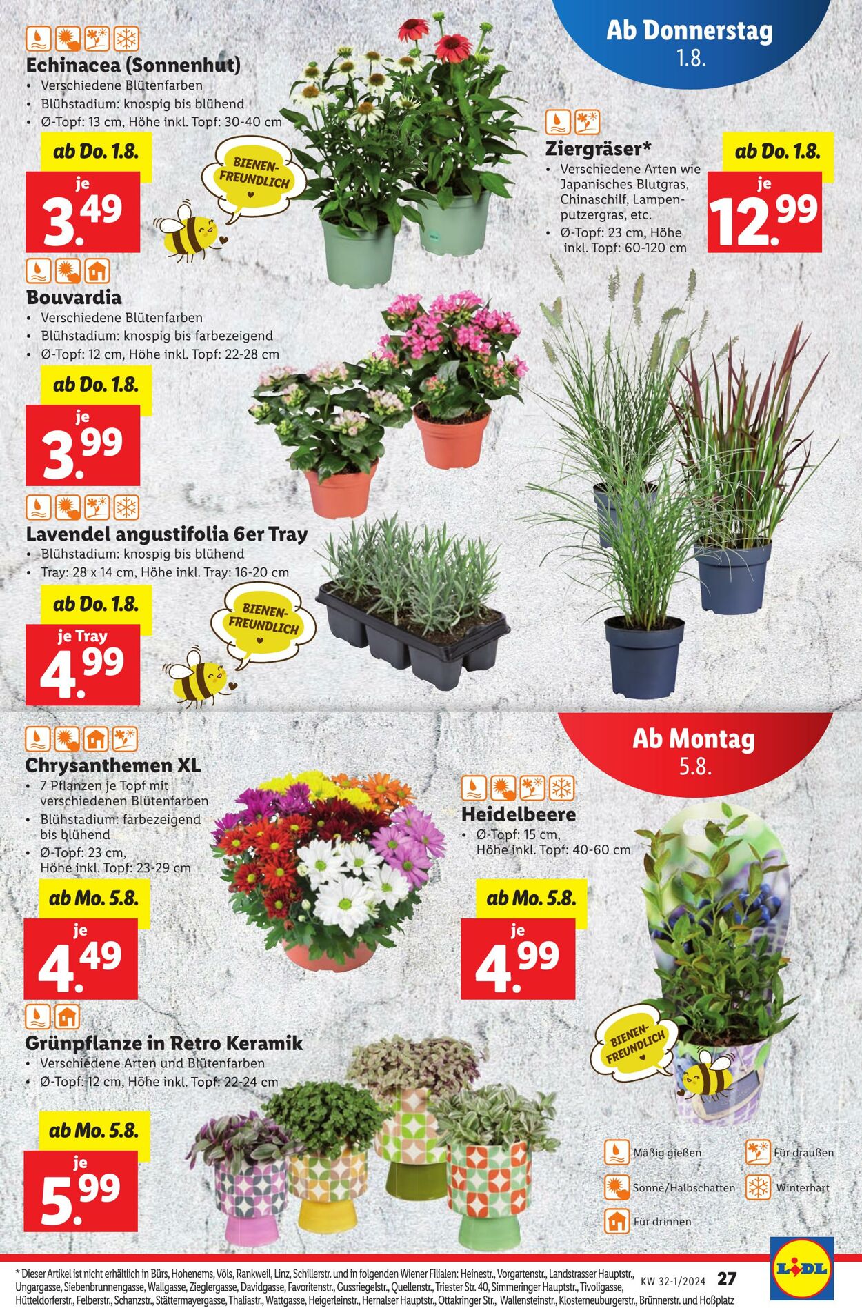 Prospekt Lidl 01.08.2024 - 07.08.2024