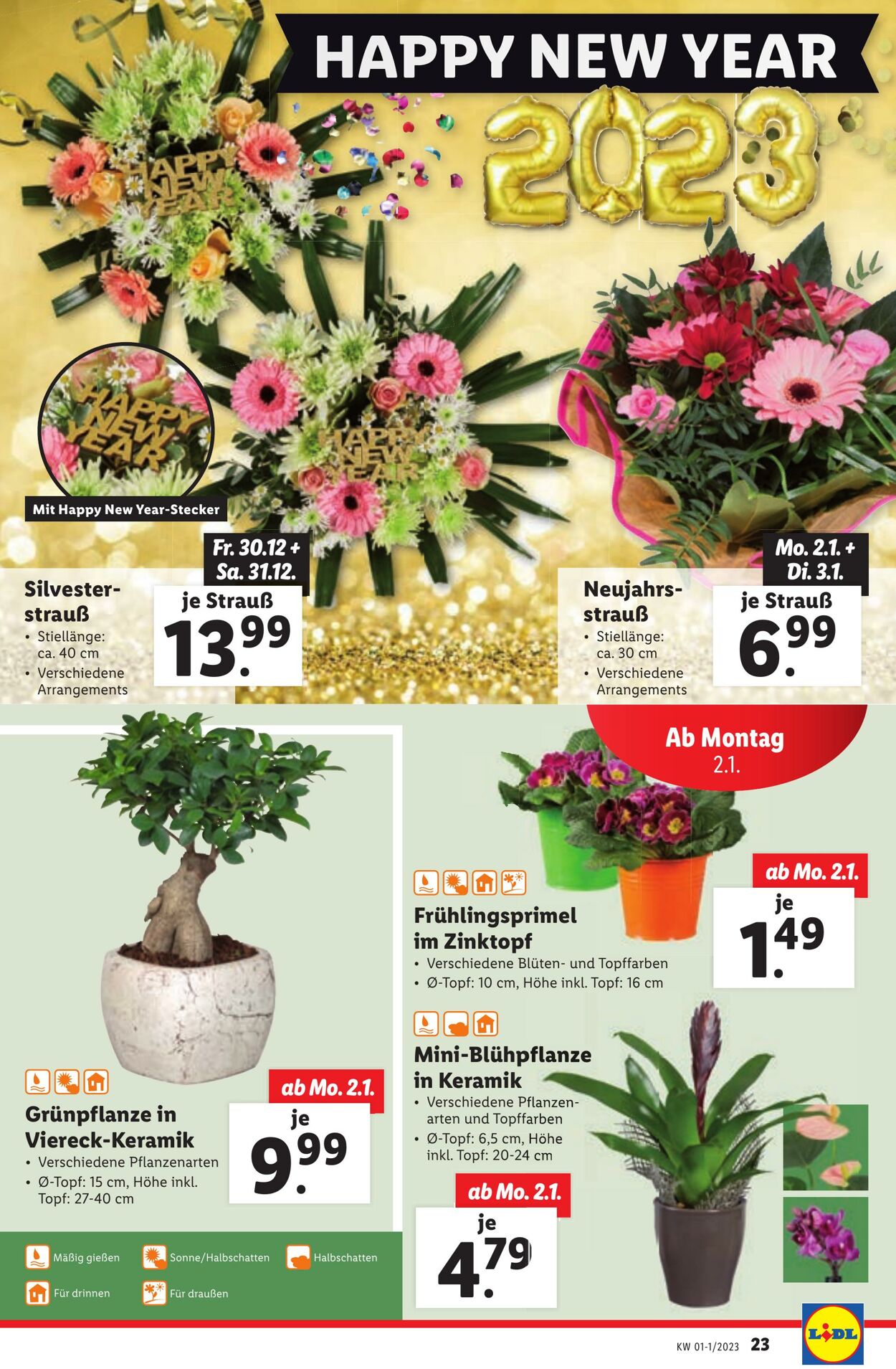 Prospekt Lidl 29.12.2022 - 03.01.2023