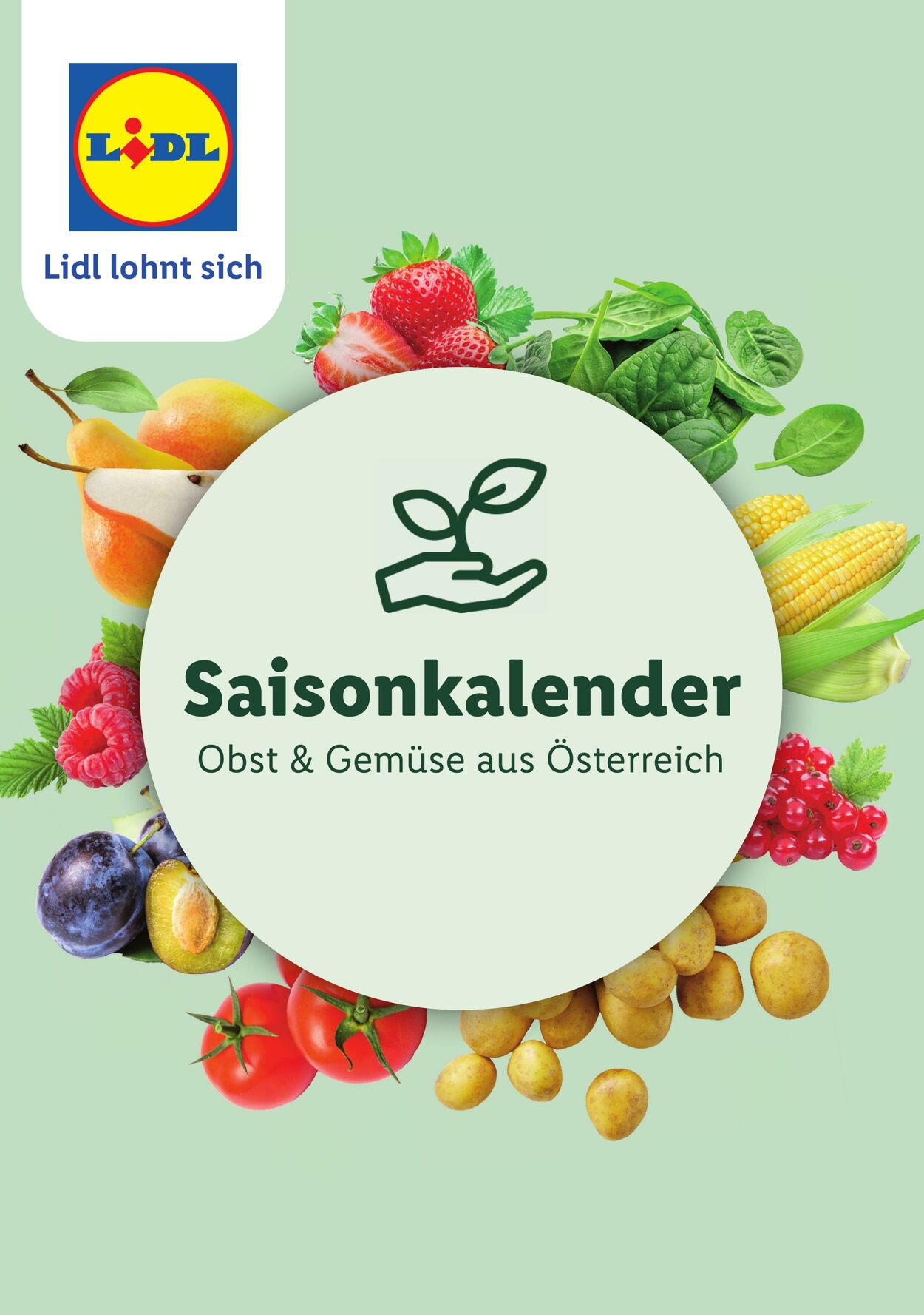 Lidl Werbe Prospekte
