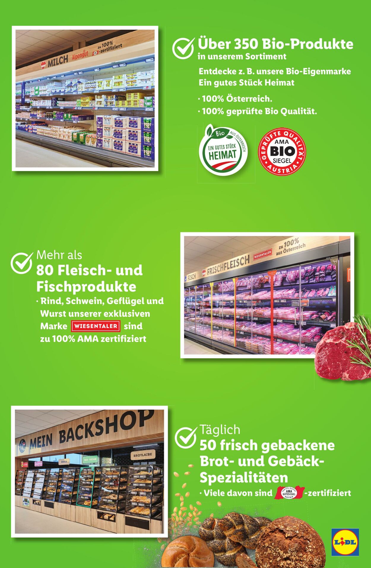 Prospekt Lidl 30.12.2024 - 30.04.2025