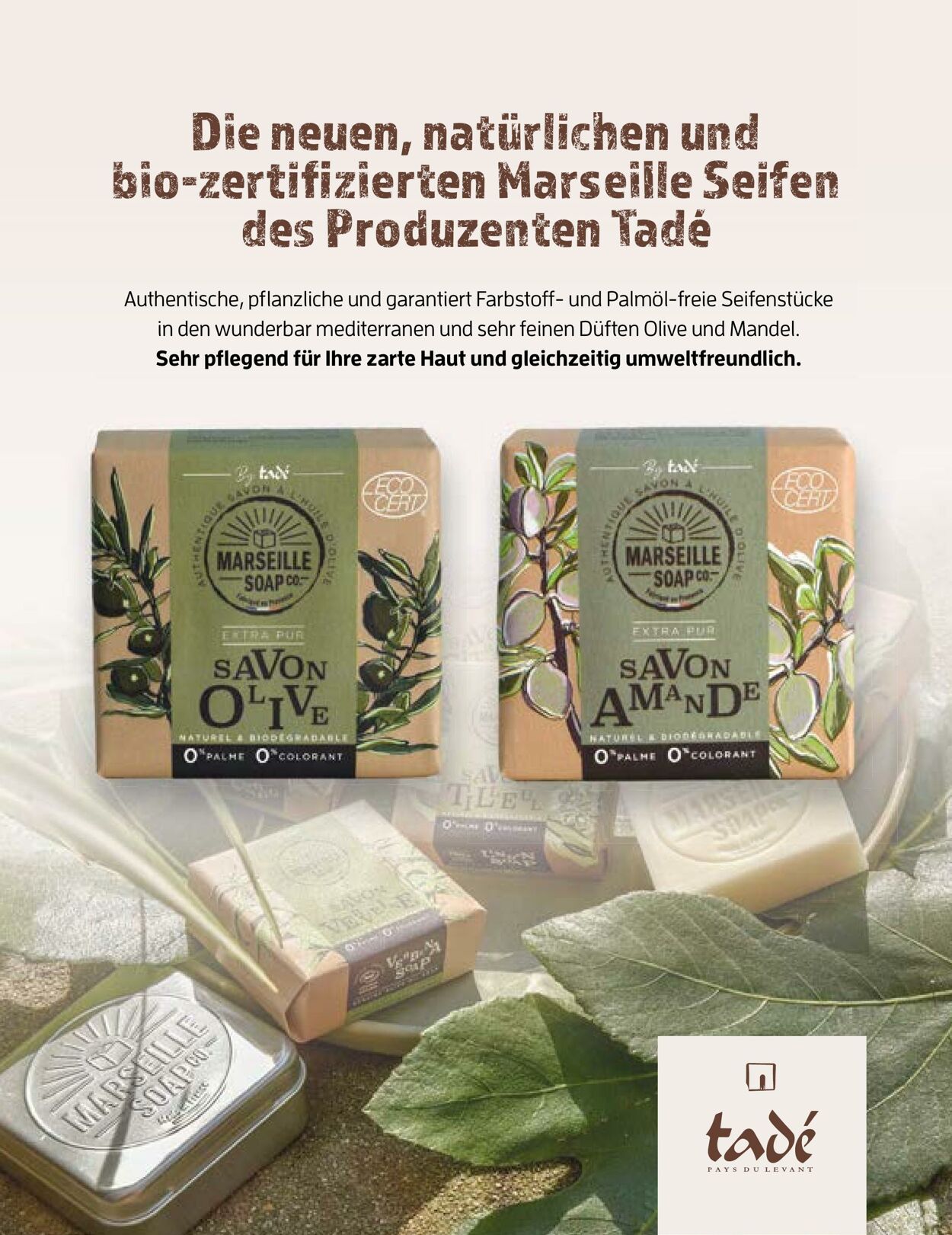 Prospekt Müller 13.01.2023 - 28.02.2023